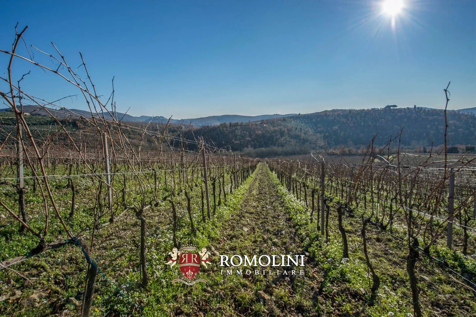 4 Bedroom Vineyard's Image 6