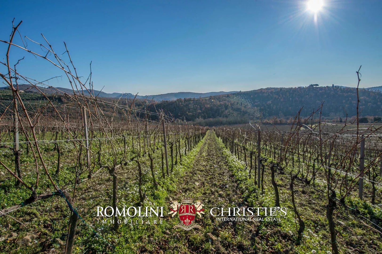 4 Bedroom Vineyard's Image 6