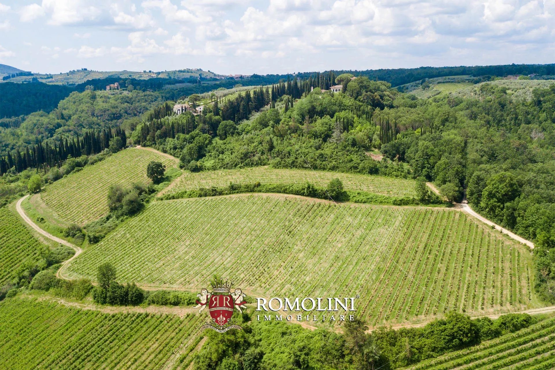 4 Bedroom Vineyard's Image 3