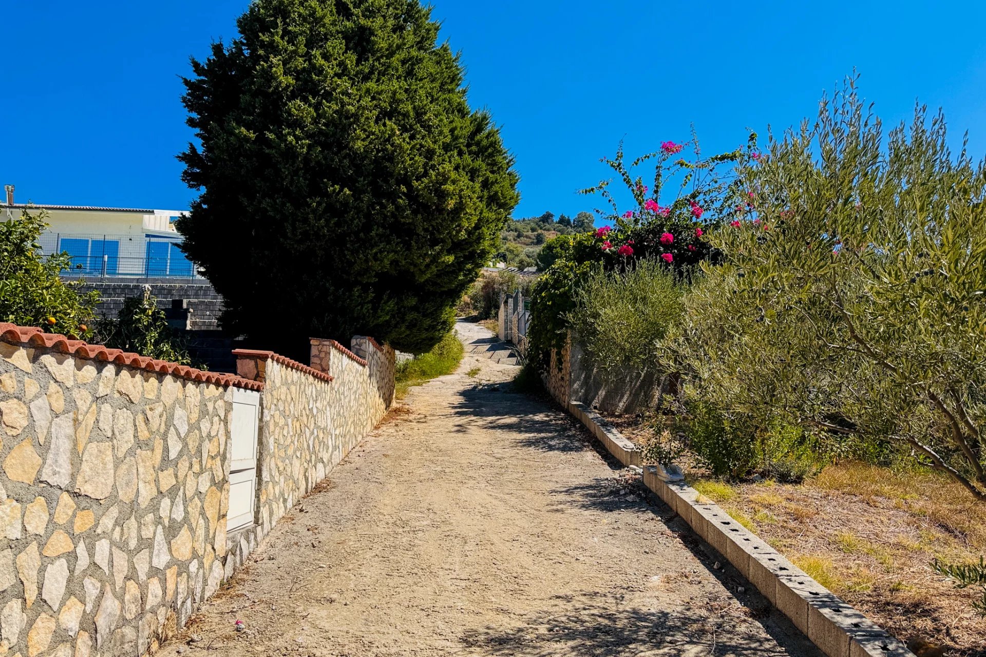 Villa in Naso - Image 3