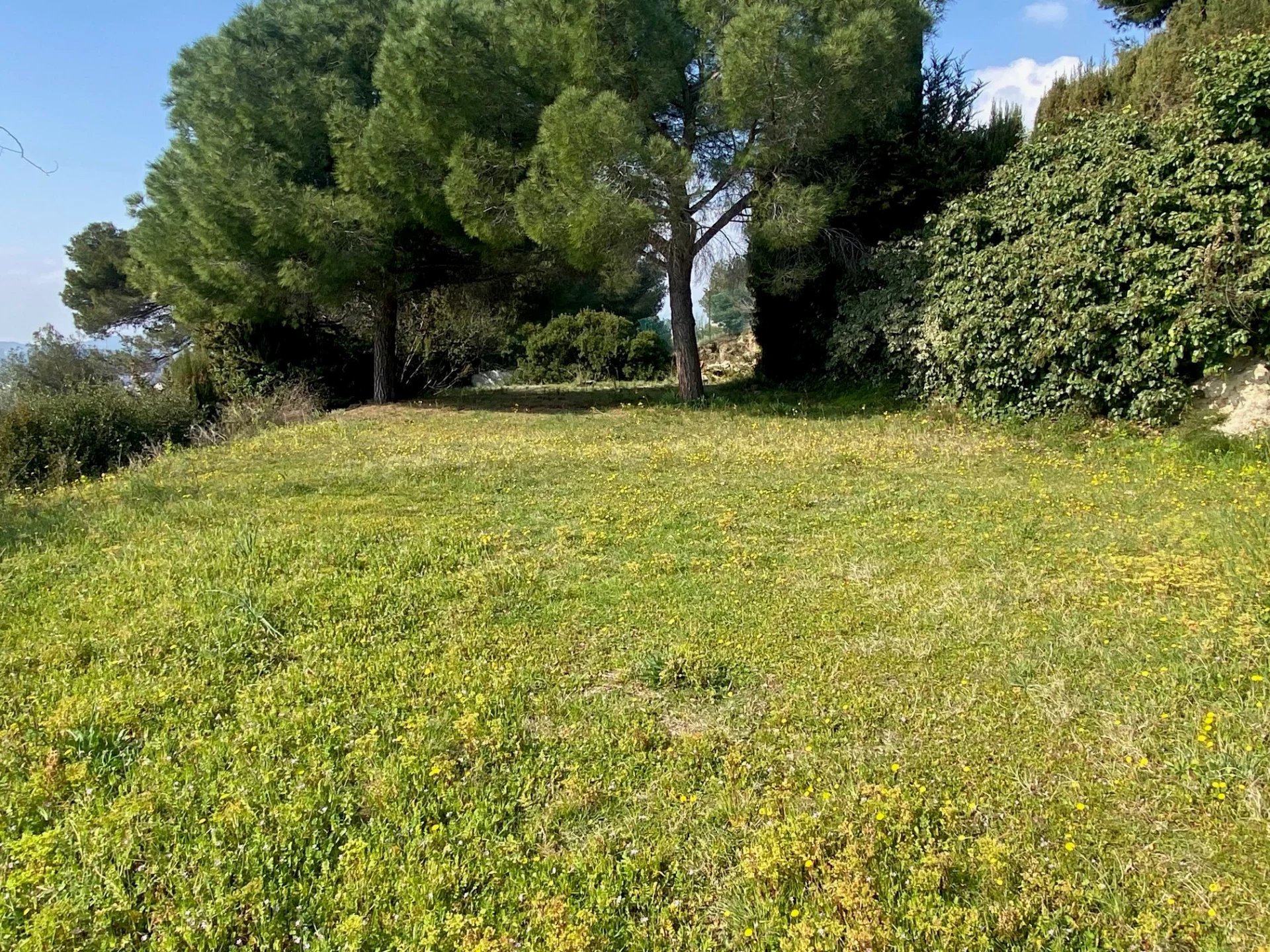 Vente Terrain Cagnes-sur-Mer
