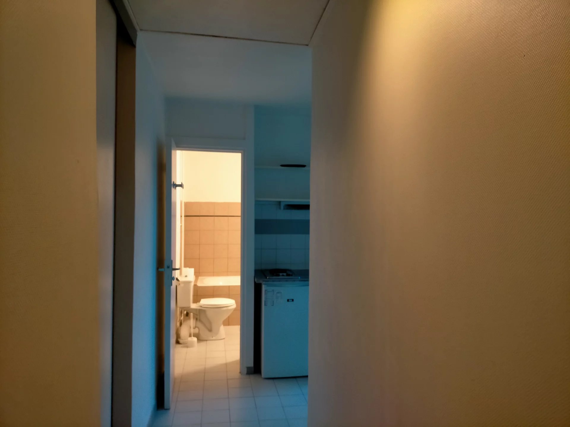 84308496 Location Lyon 6ème