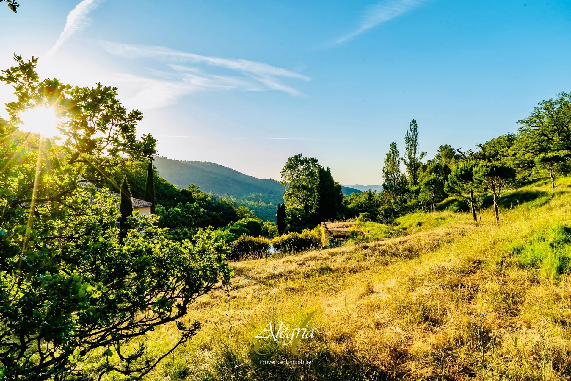 Confidential Investment Opportunity: Exceptional Wine Estate in Southern France