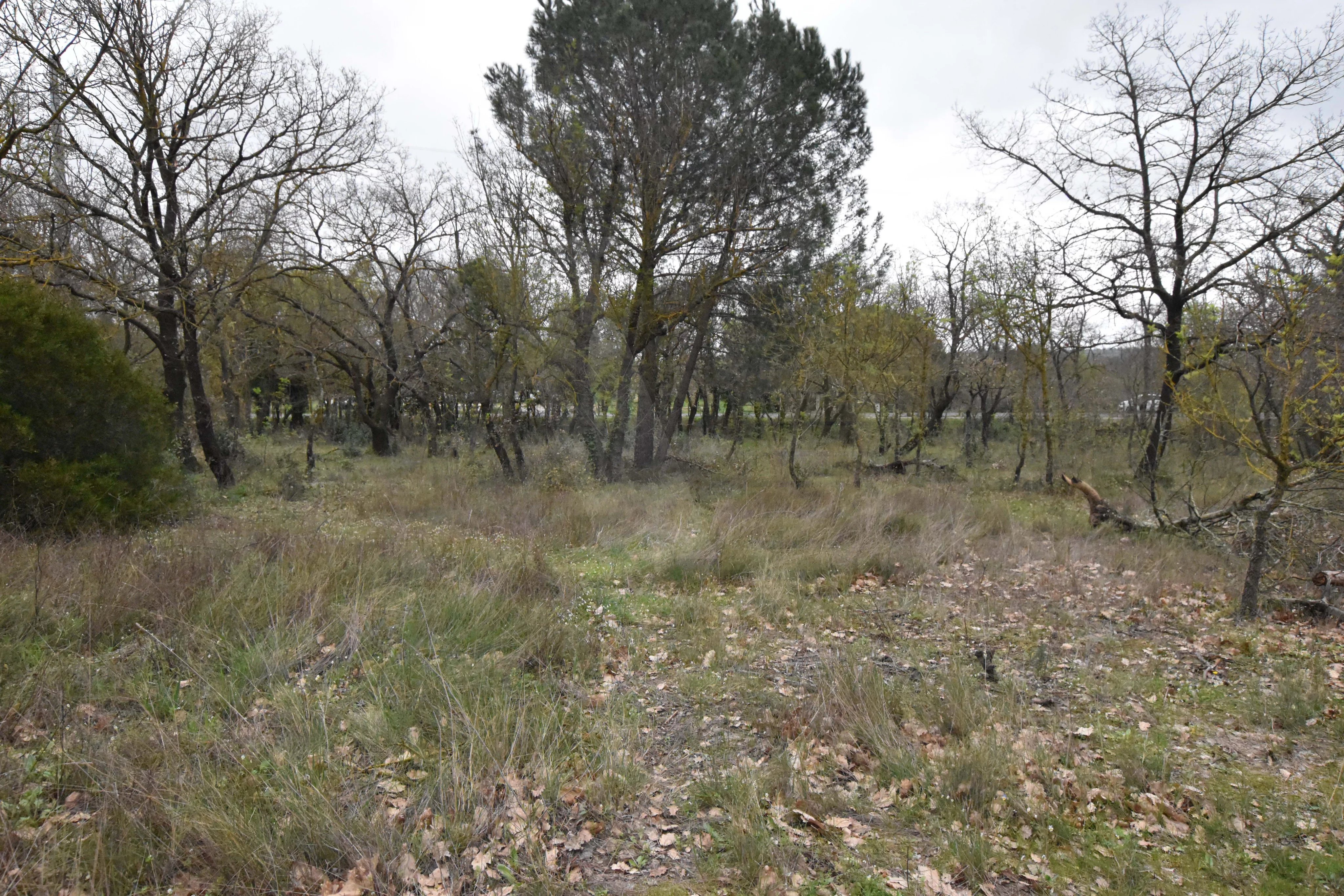 Parking à vendre, 3719 m², Maraussan