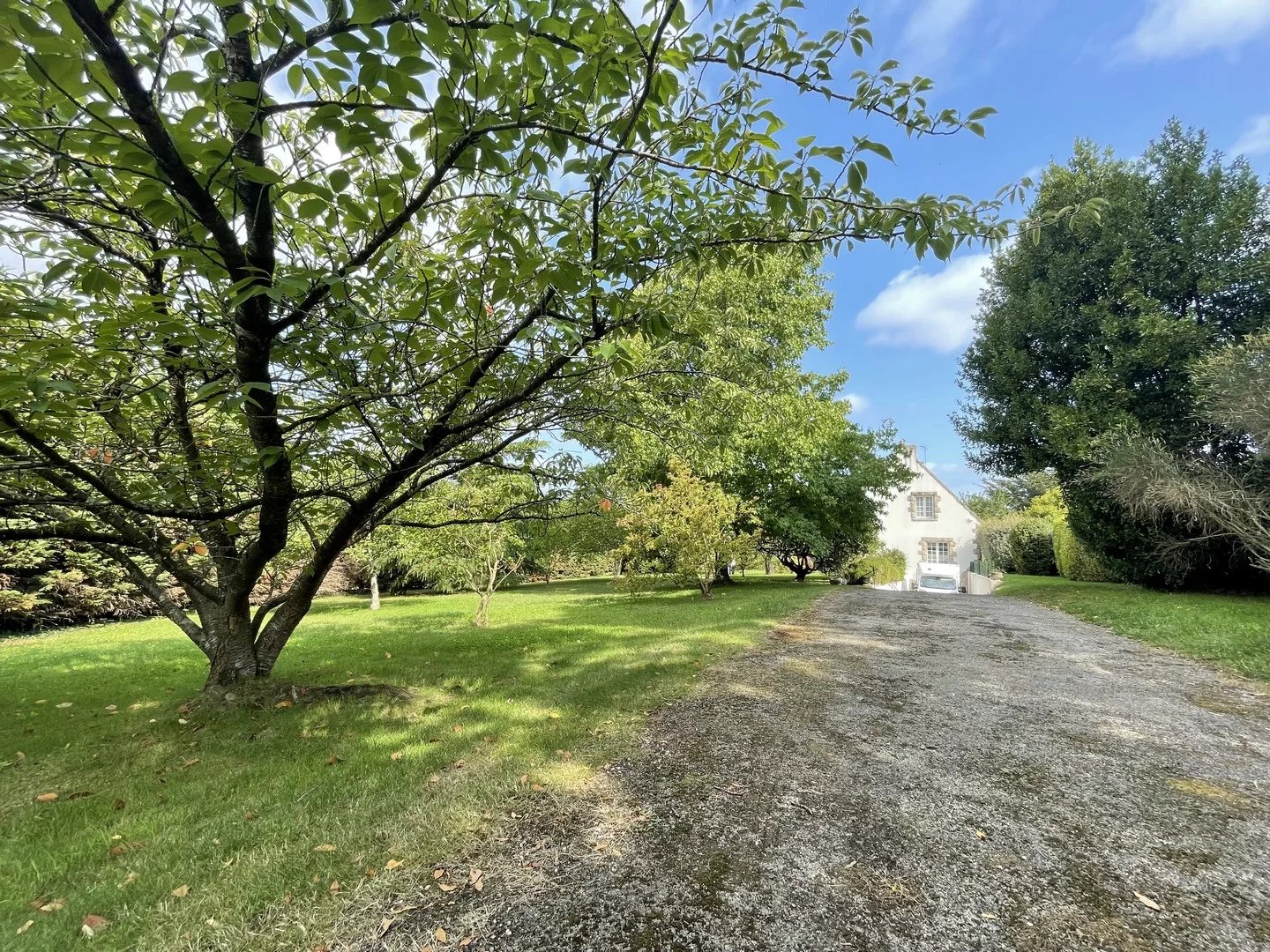 EXCLUSIVITE PLEUDIHEN SUR RANCE  CENTRE ET CALME