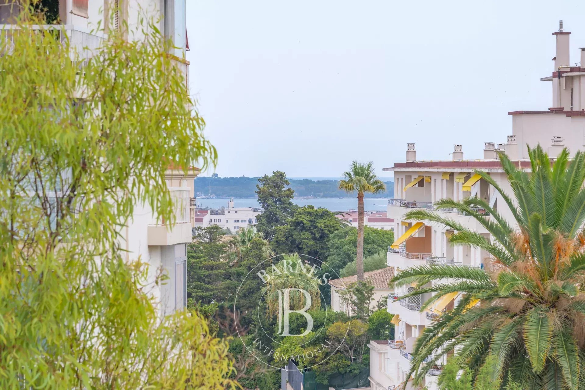Cannes  - Villa 9 Pi&egrave;ces 7 Chambres - picture 3