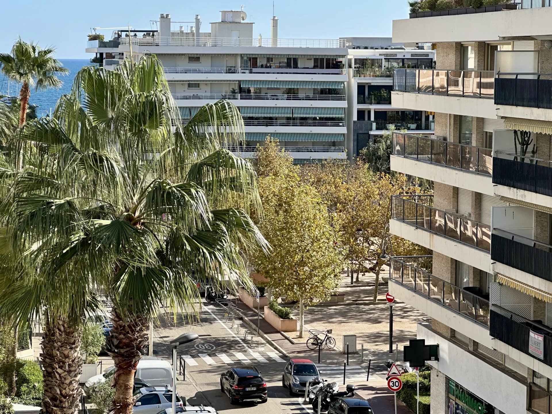 Cannes Palm Bech