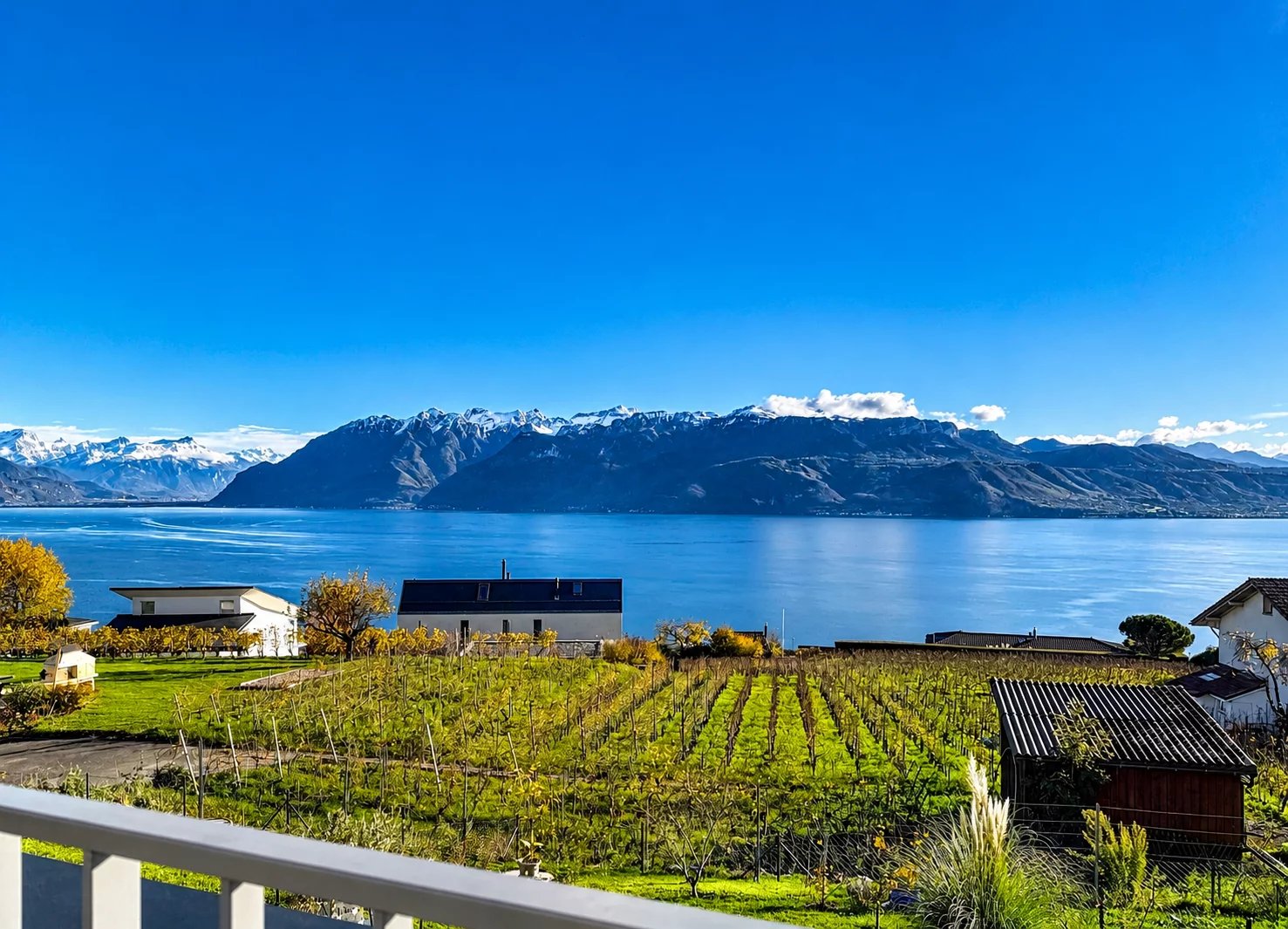 Grandvaux ! Vue spectaculaire sur le Lac !