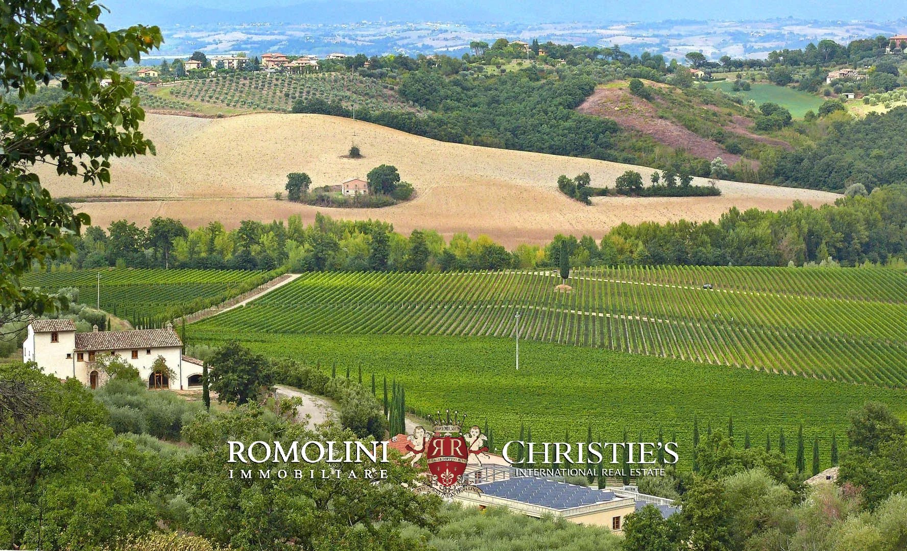 15 Bedroom Vineyard's Image 18