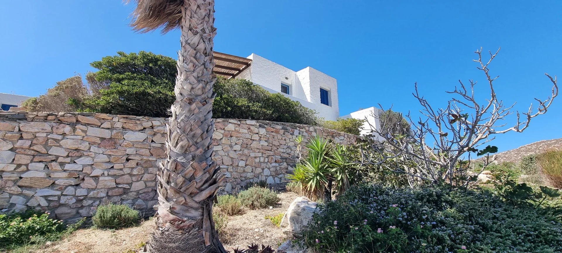 Εικόνα ιδιοκτησίας 13