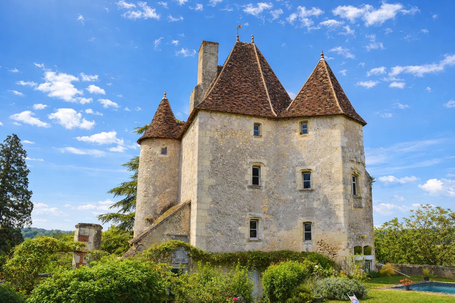 À vendre Château | La Roche-Posay - picture 1