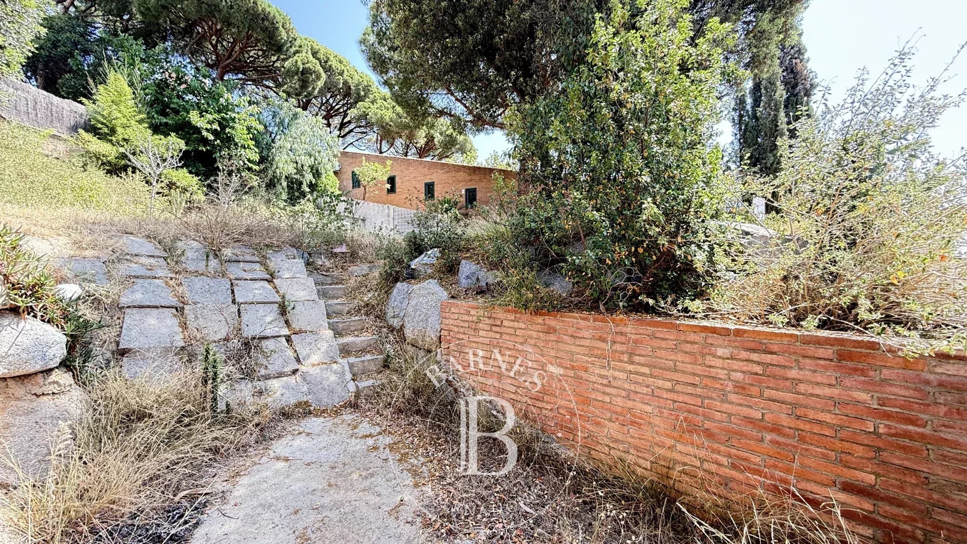 Arazi Premia de Dalt - picture 15