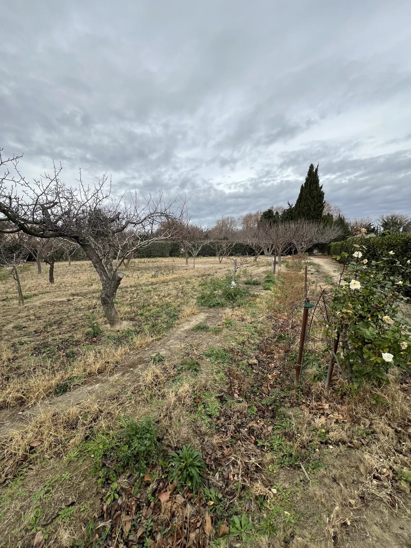 Agence immobilière de Groupe Lartigue