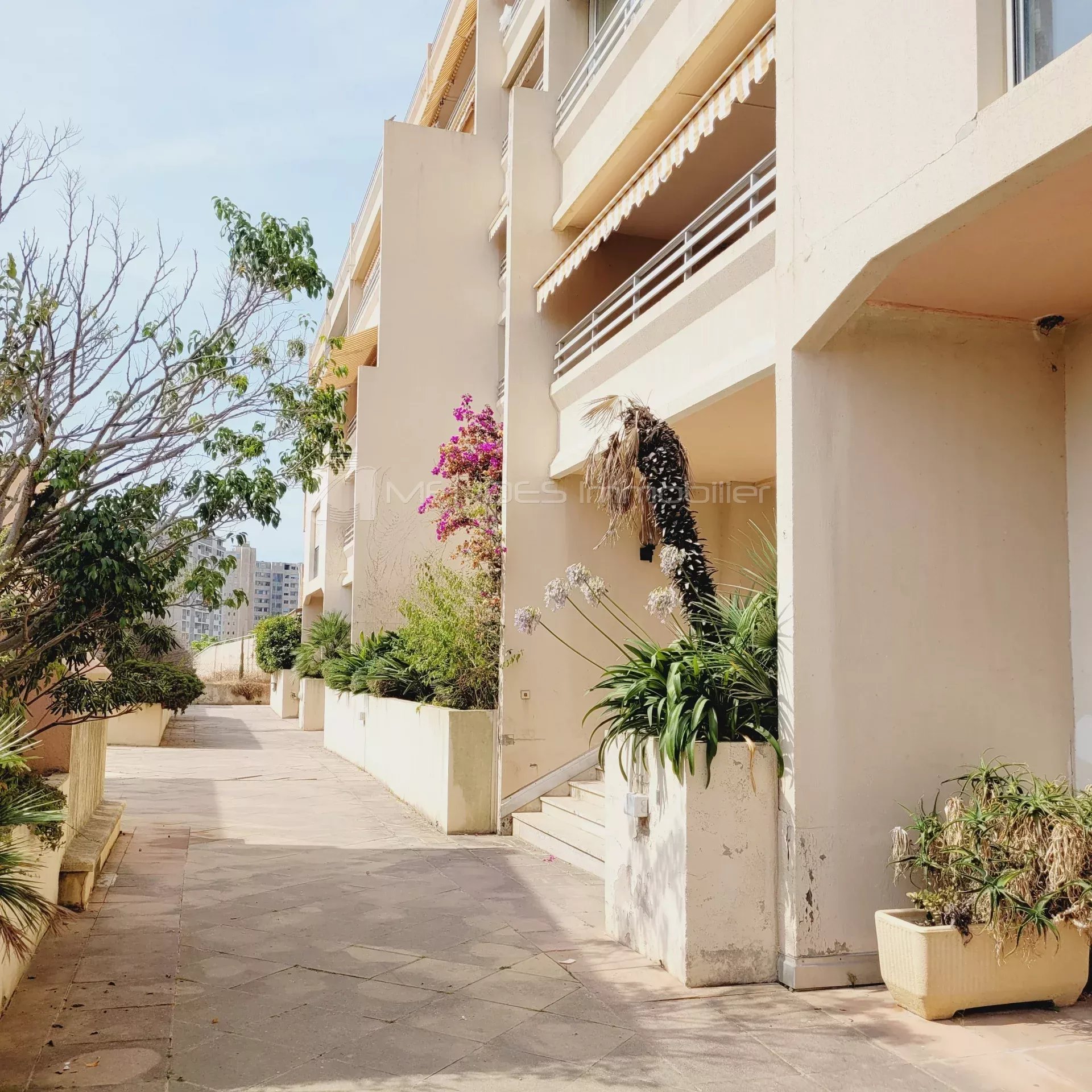Location Appartement Beausoleil
