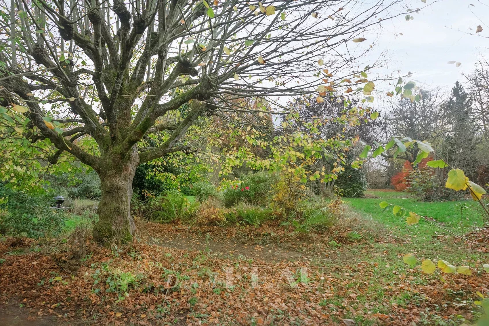 Vente Maison Montfort-l'Amaury