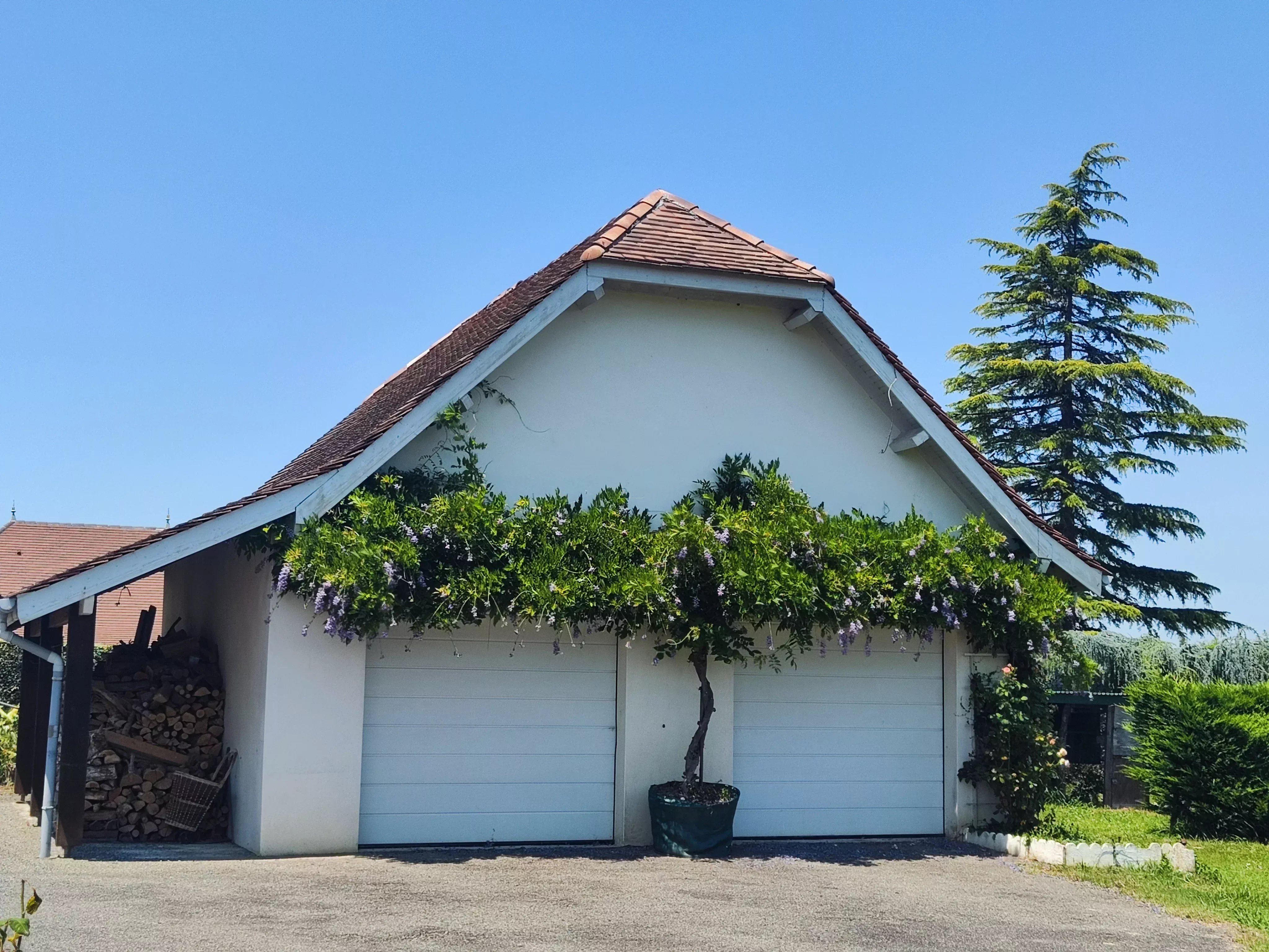 House in Sauveterre-de-Bearn - Image 2