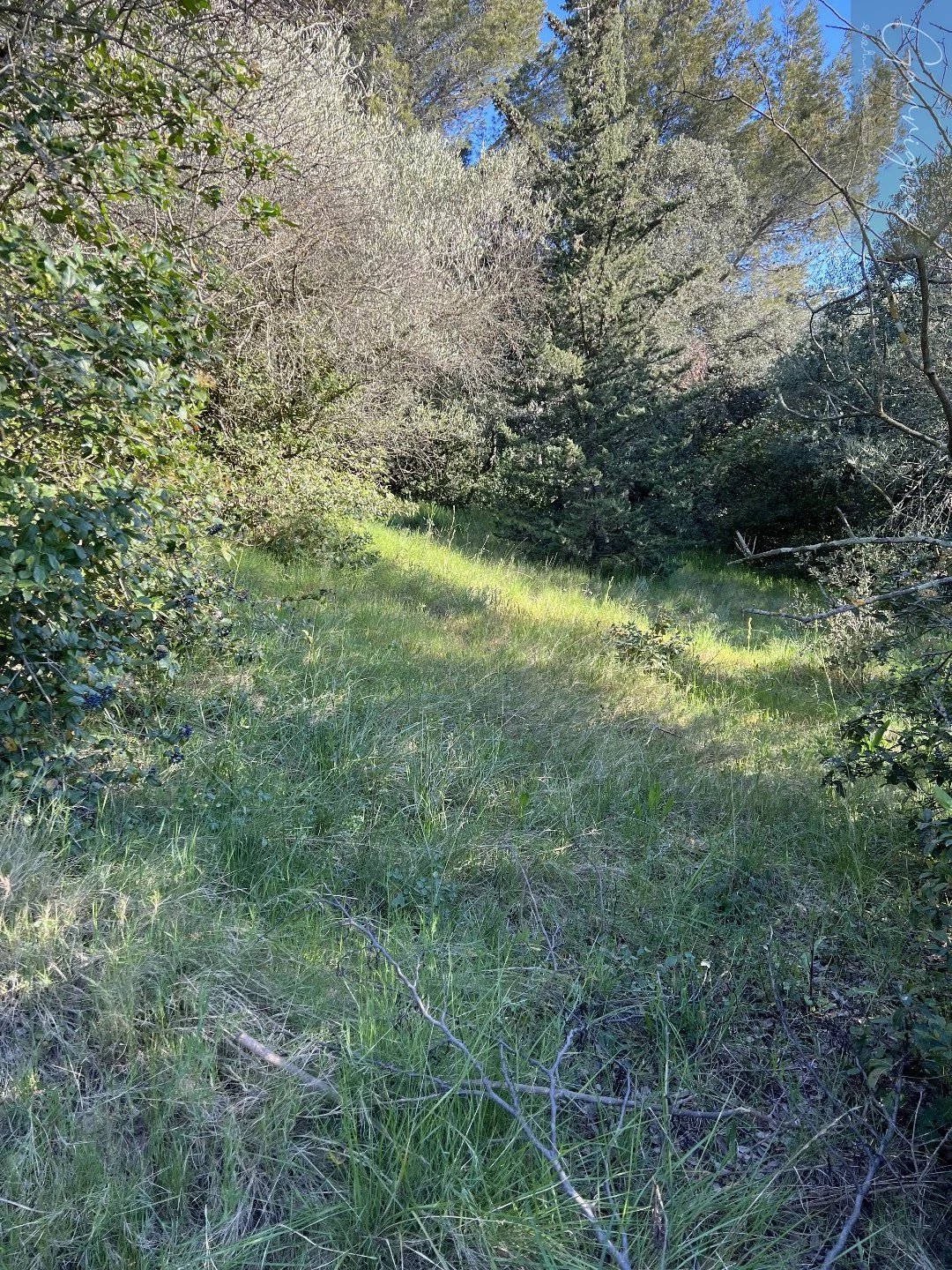 Vente Terrain Milhaud