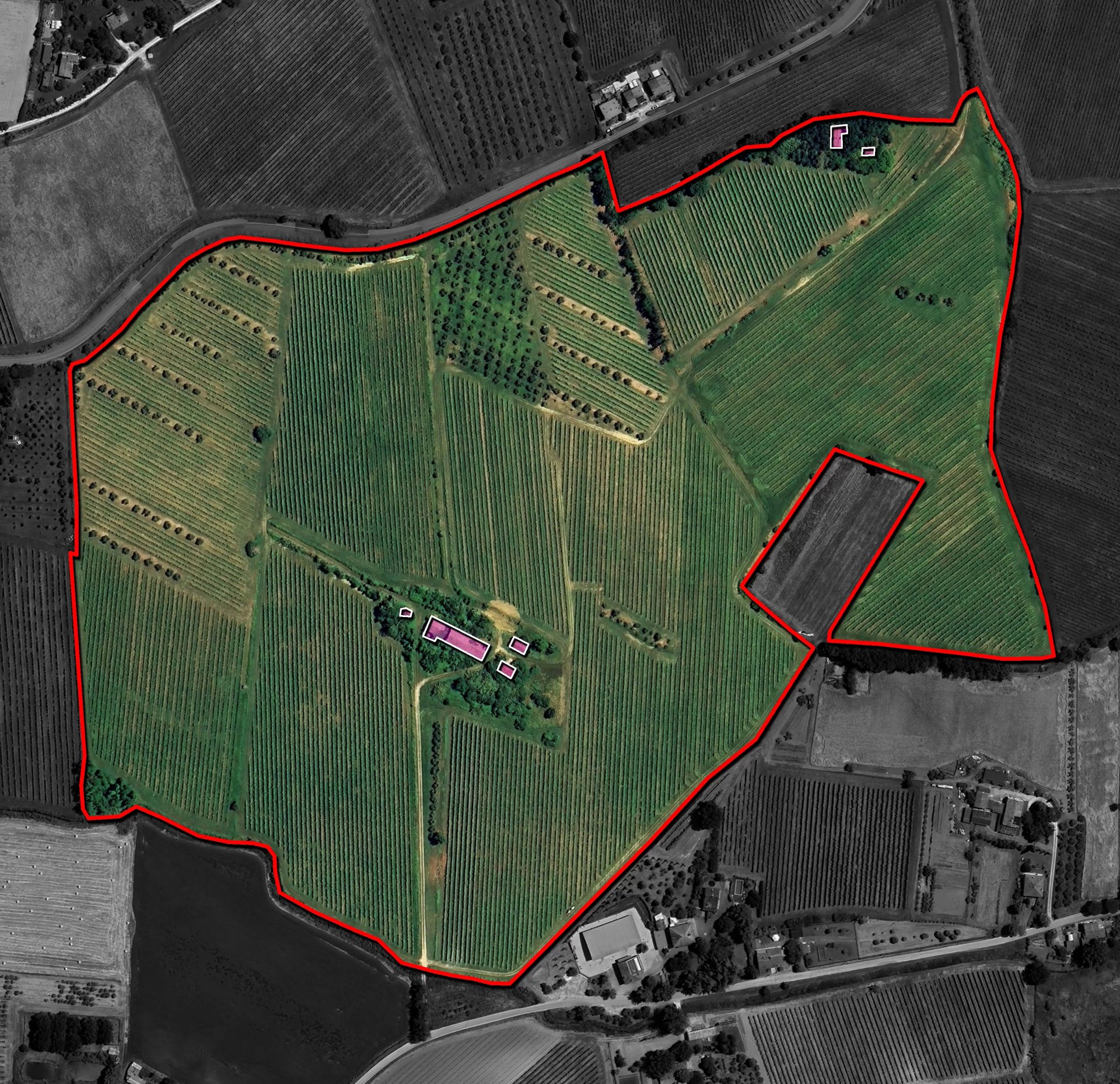 16 Bedroom Vineyard's Image 19