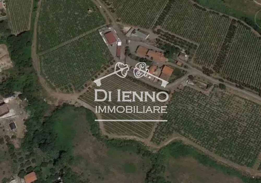 Sale Agricultural land Roma Borghesiana