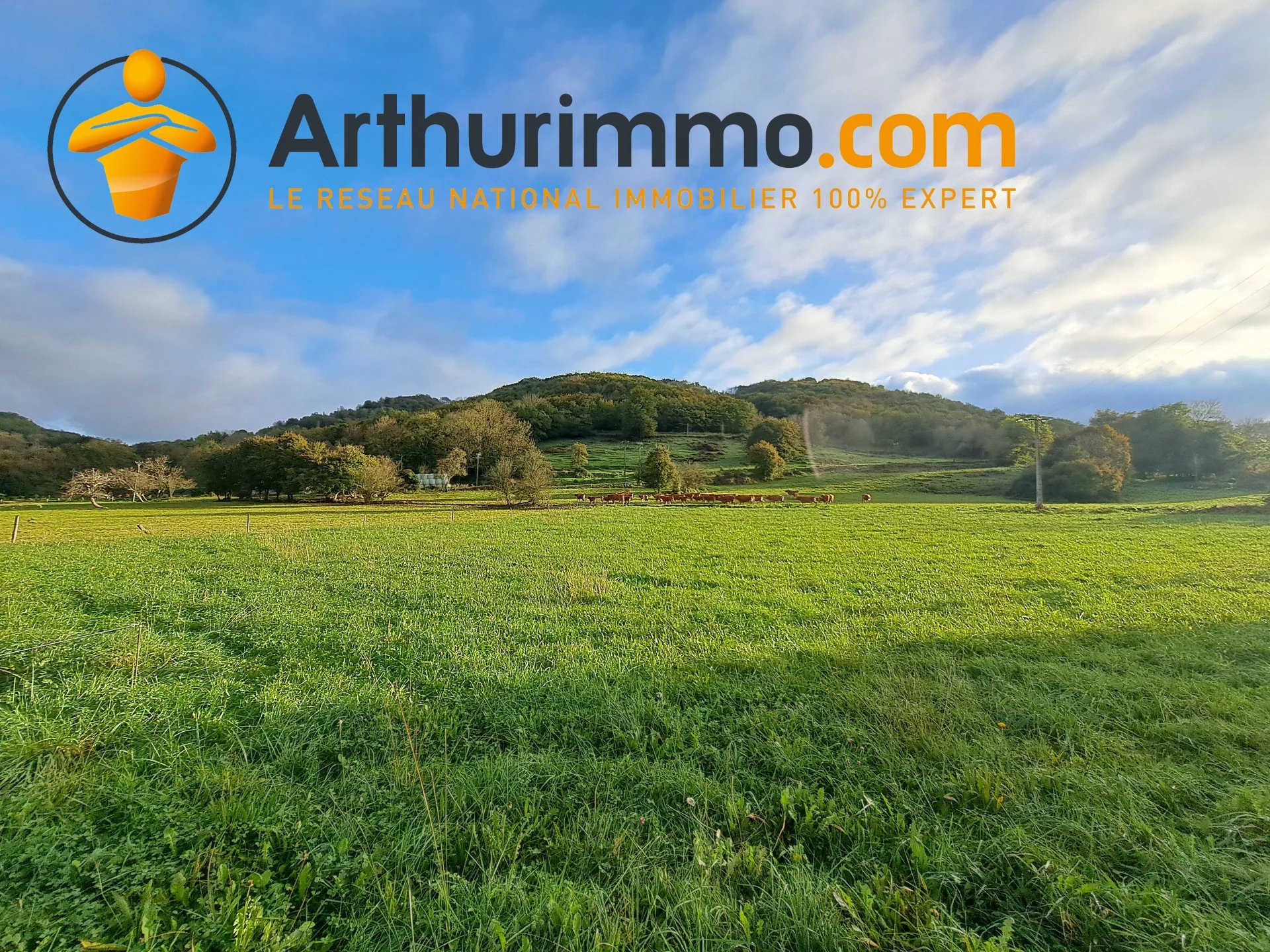 Agence immobilière de 