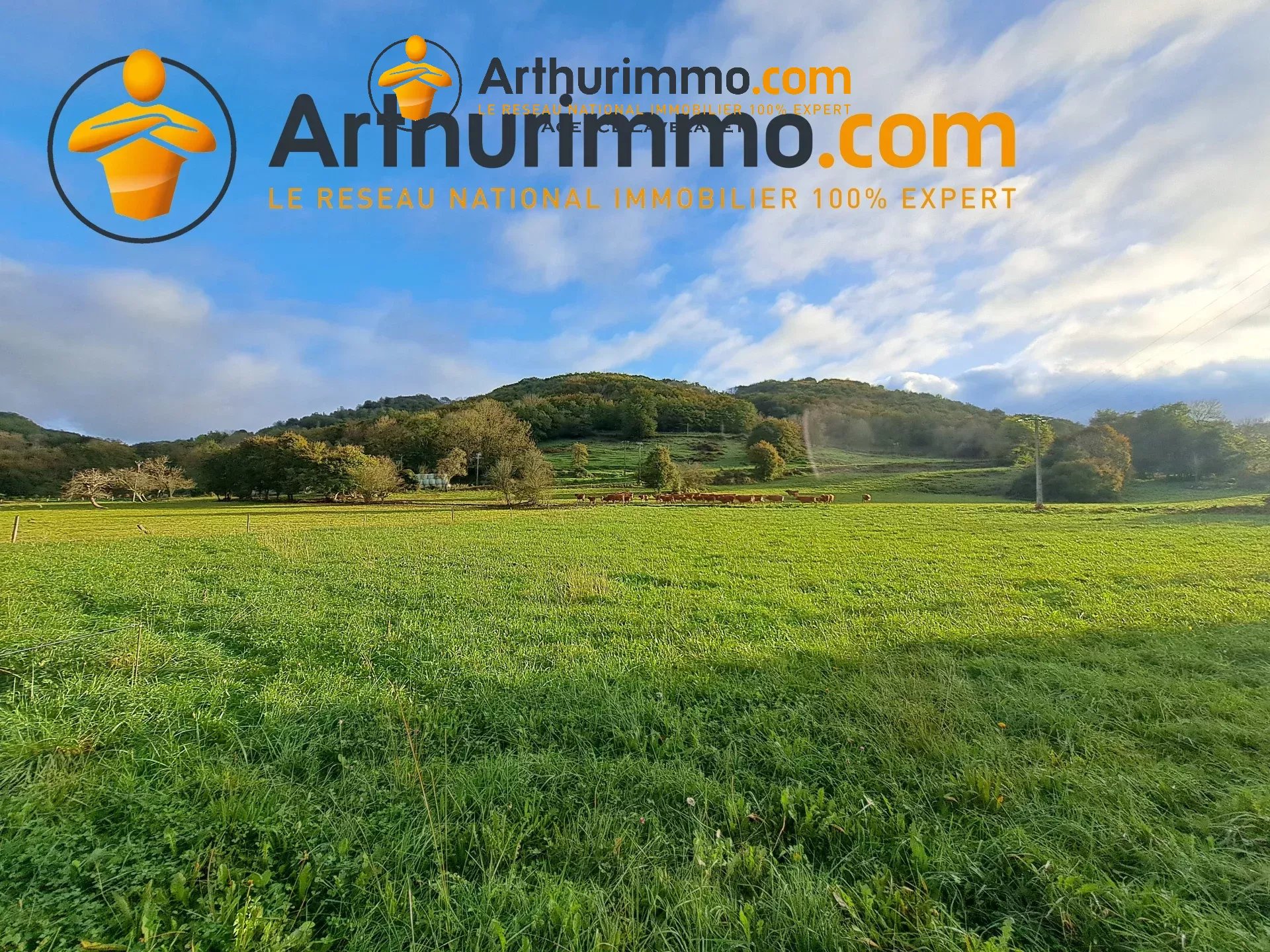 Agence immobilière de 