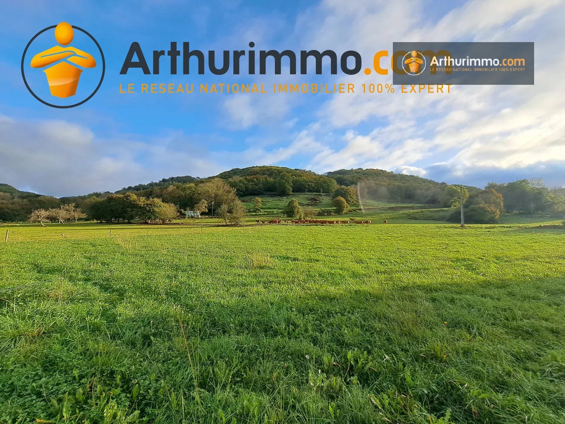 Agence immobilière de 