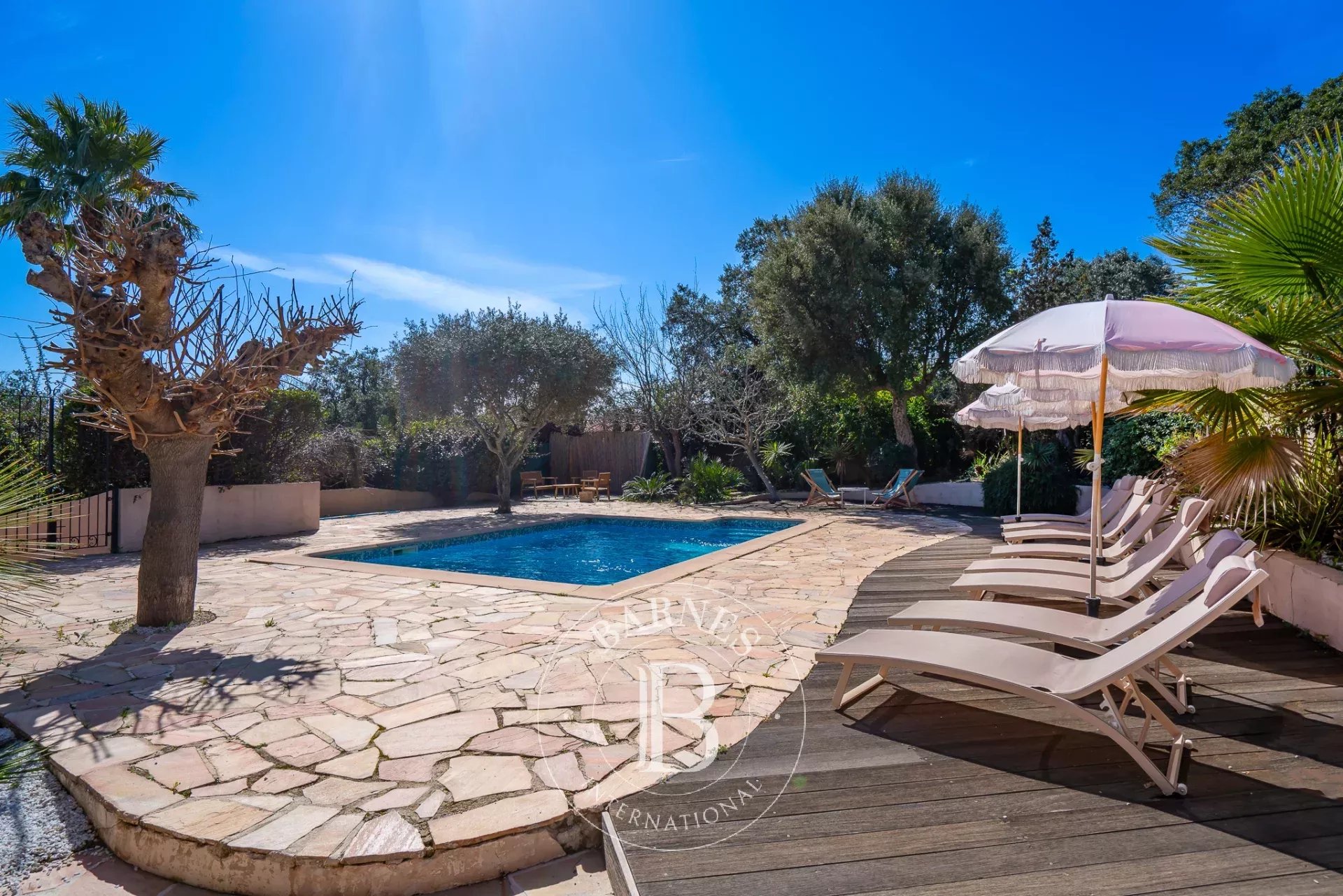 Ev Gassin - picture 5