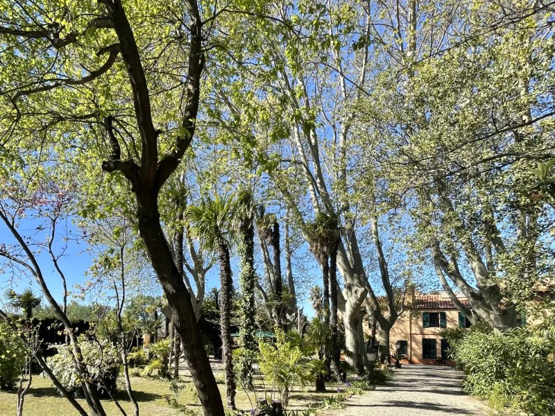 For Sale Country House | Toulouges - picture 1