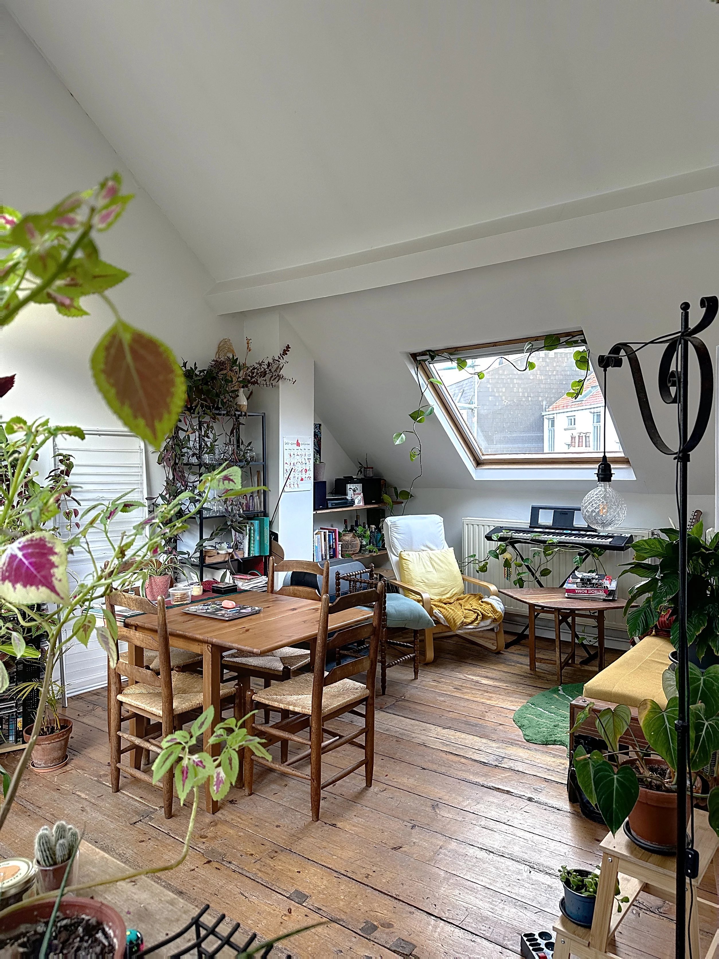 Charming small investment property.