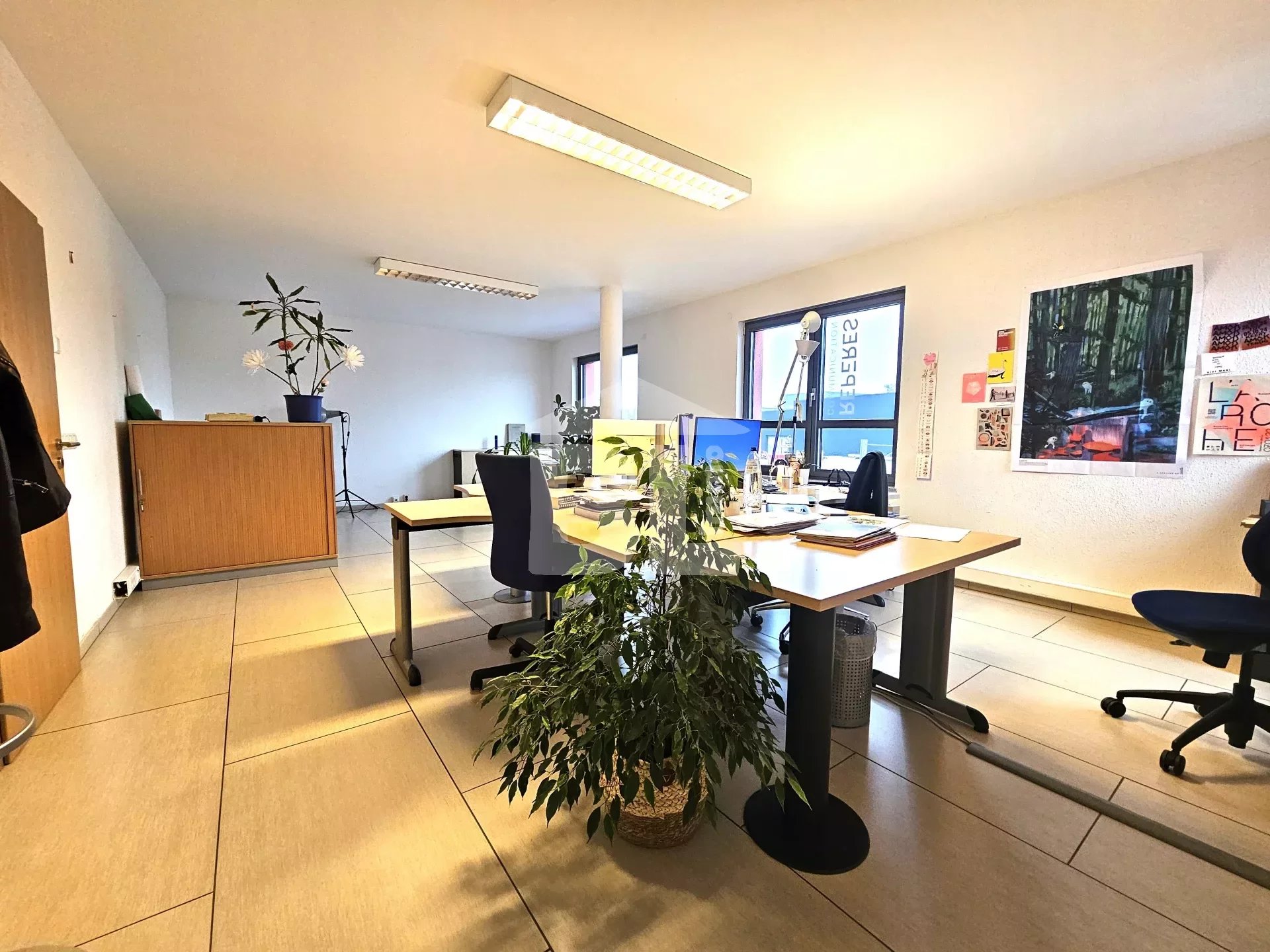 Agence immobilière de BLImmo SARL-S