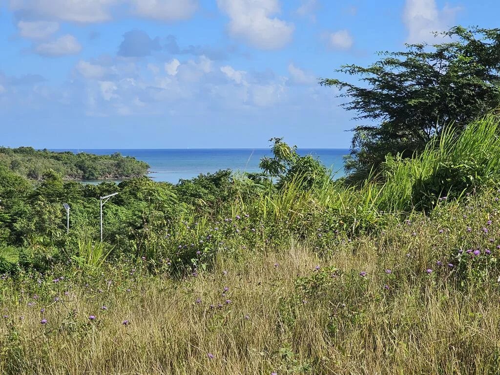 RARE À LA VENTE SUPERBE TERRAIN CONSTRUCTIBLE AVEC VUE MER !