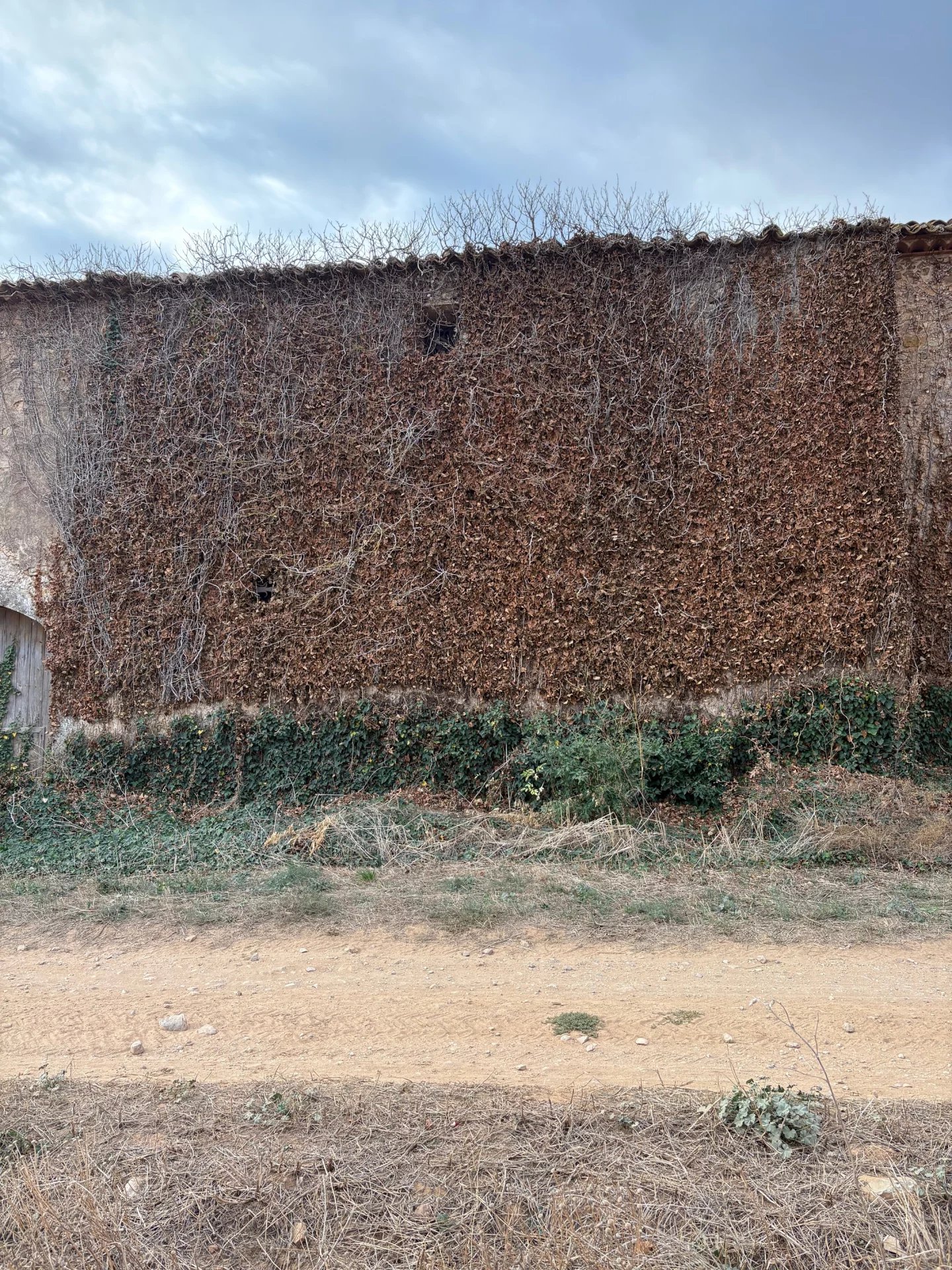 Sale Woodshed Ornaisons