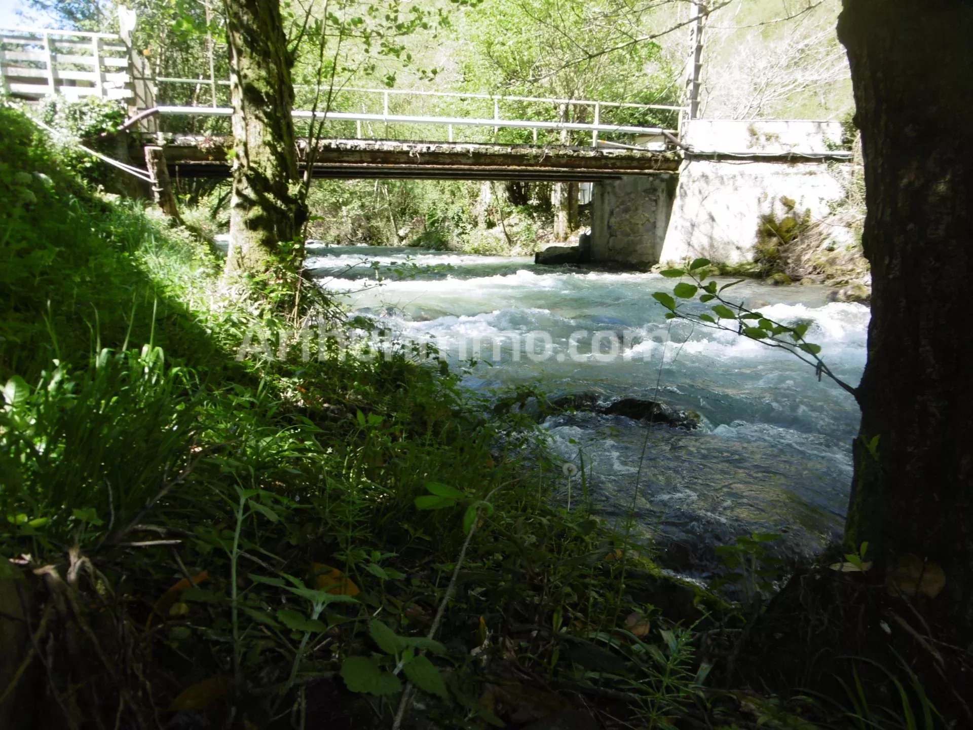 Photo bien immobilier