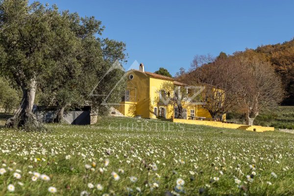 Character property nestled in a green setting — photo 3