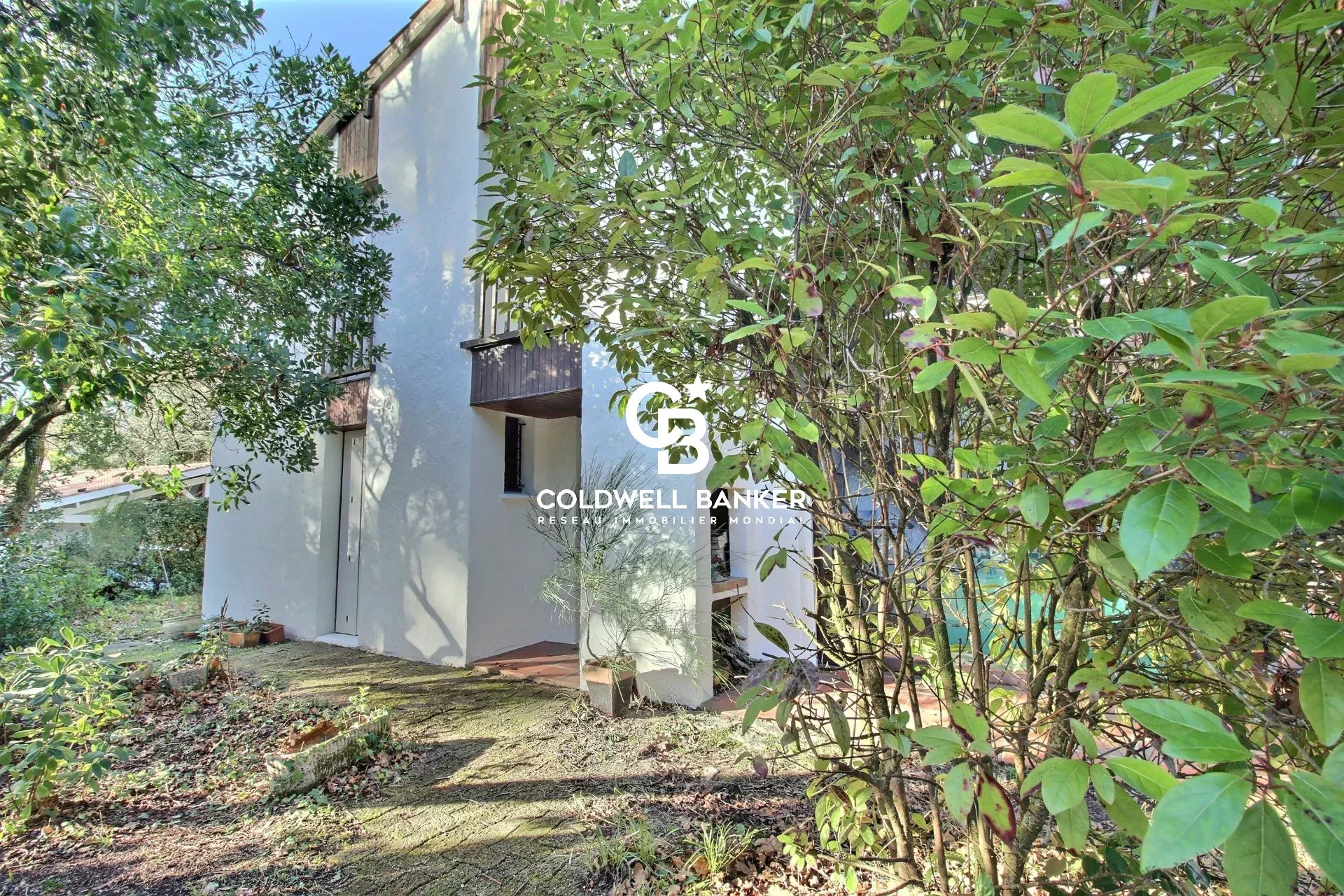 Agence immobilière de Silver Coast Int. Realty