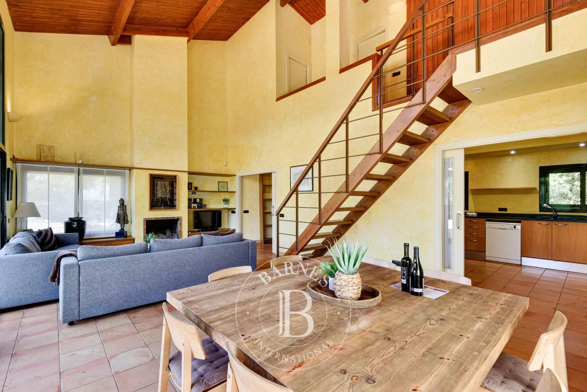 Çiftlik Capmany - picture 13