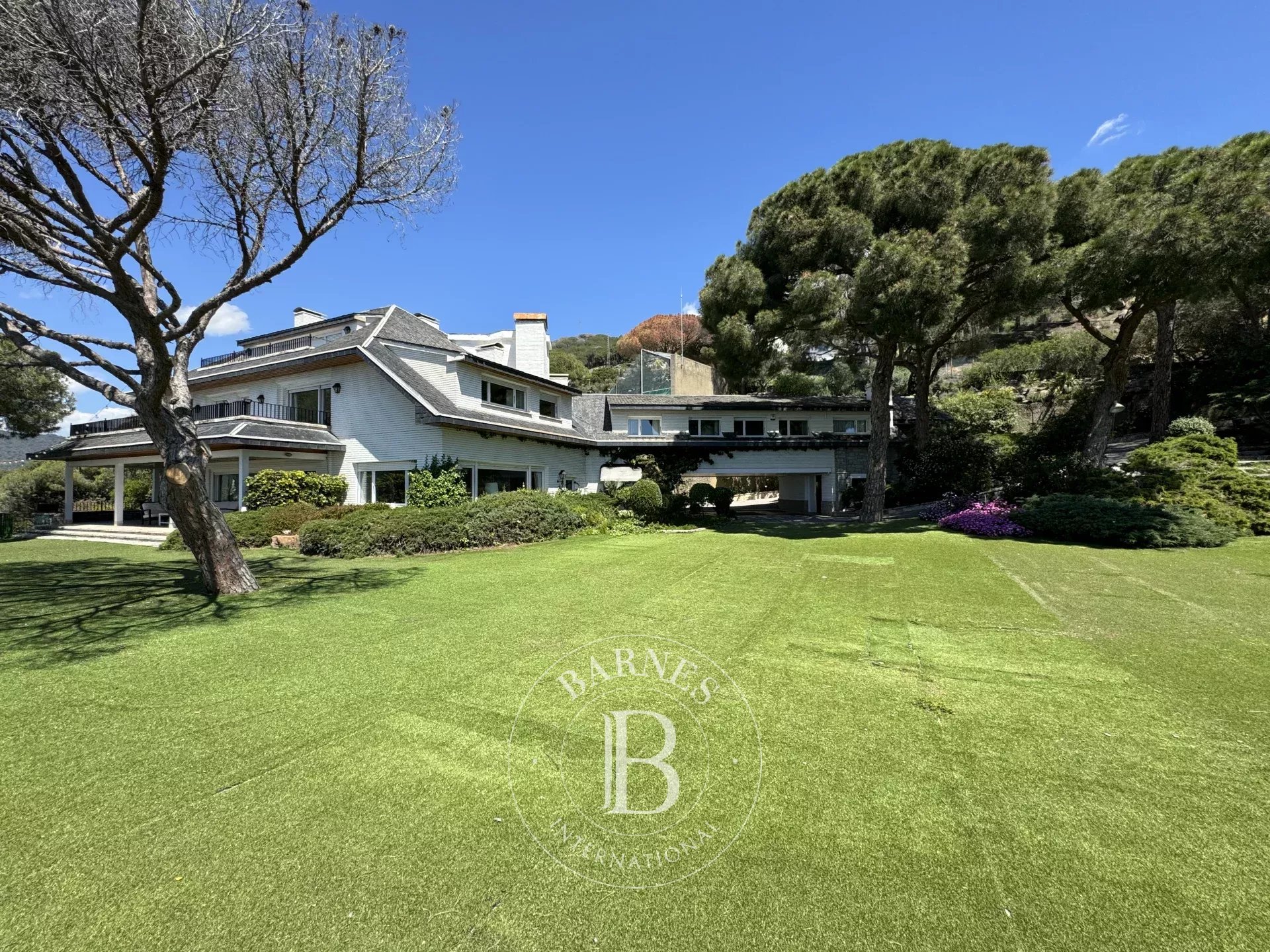 Ev Cabrils - picture 28