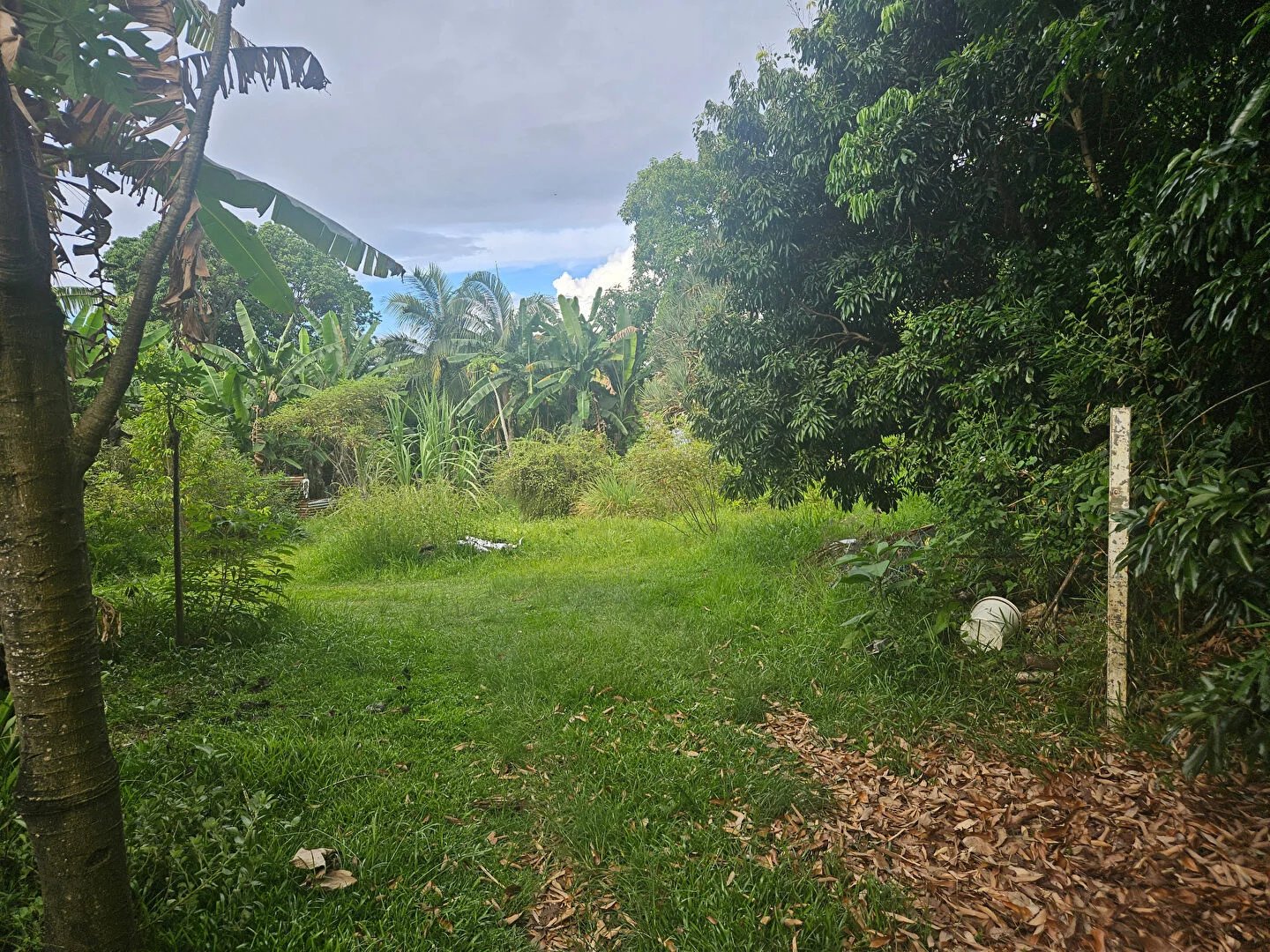 Vente Terrain Saint-Benoît