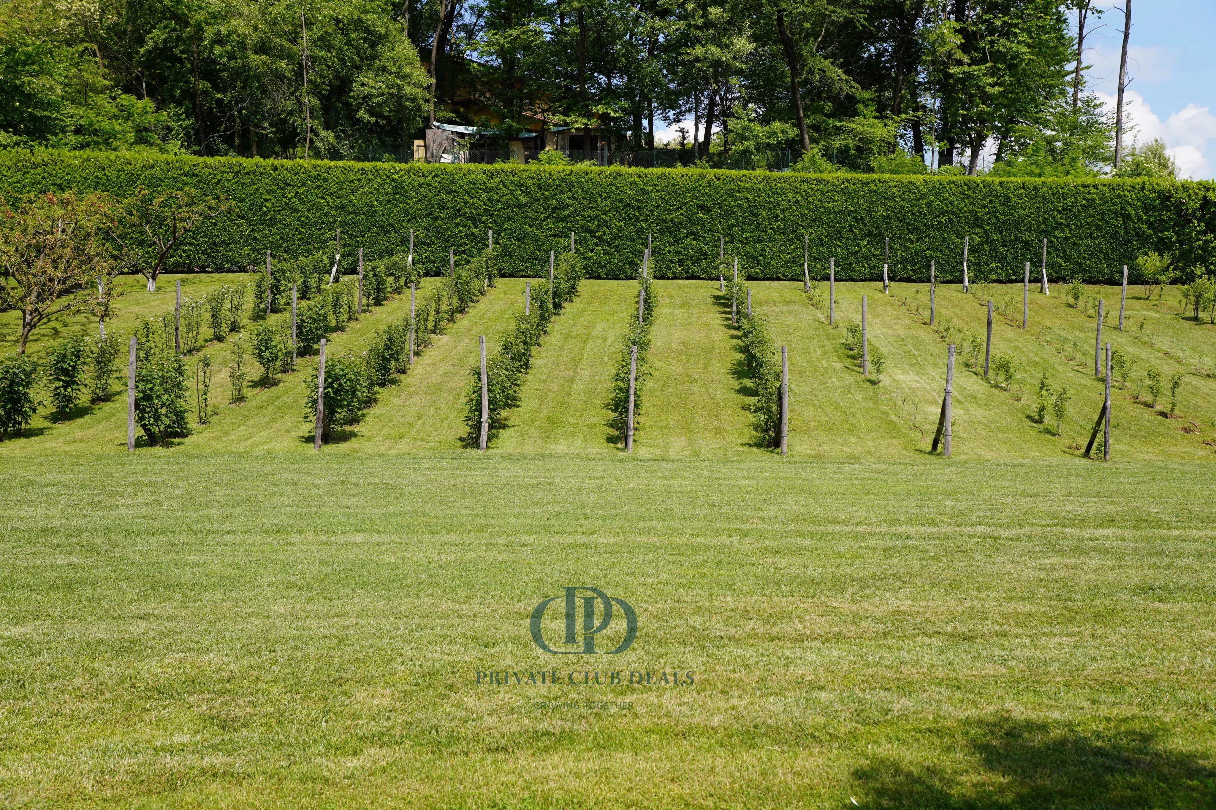 Otel Malgesso - picture 18