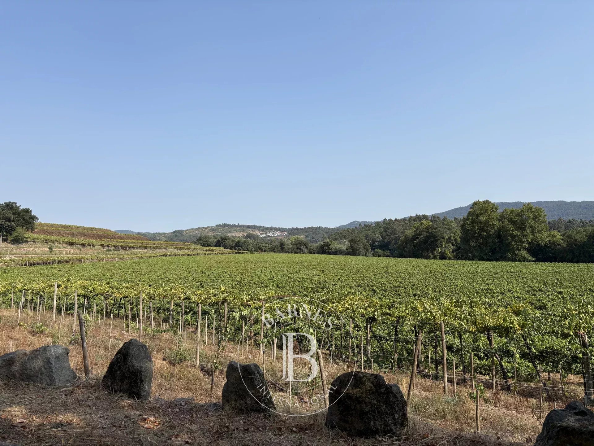 Sur les rives de la rivière Cávado Sur les rives de la rivière Cávado
