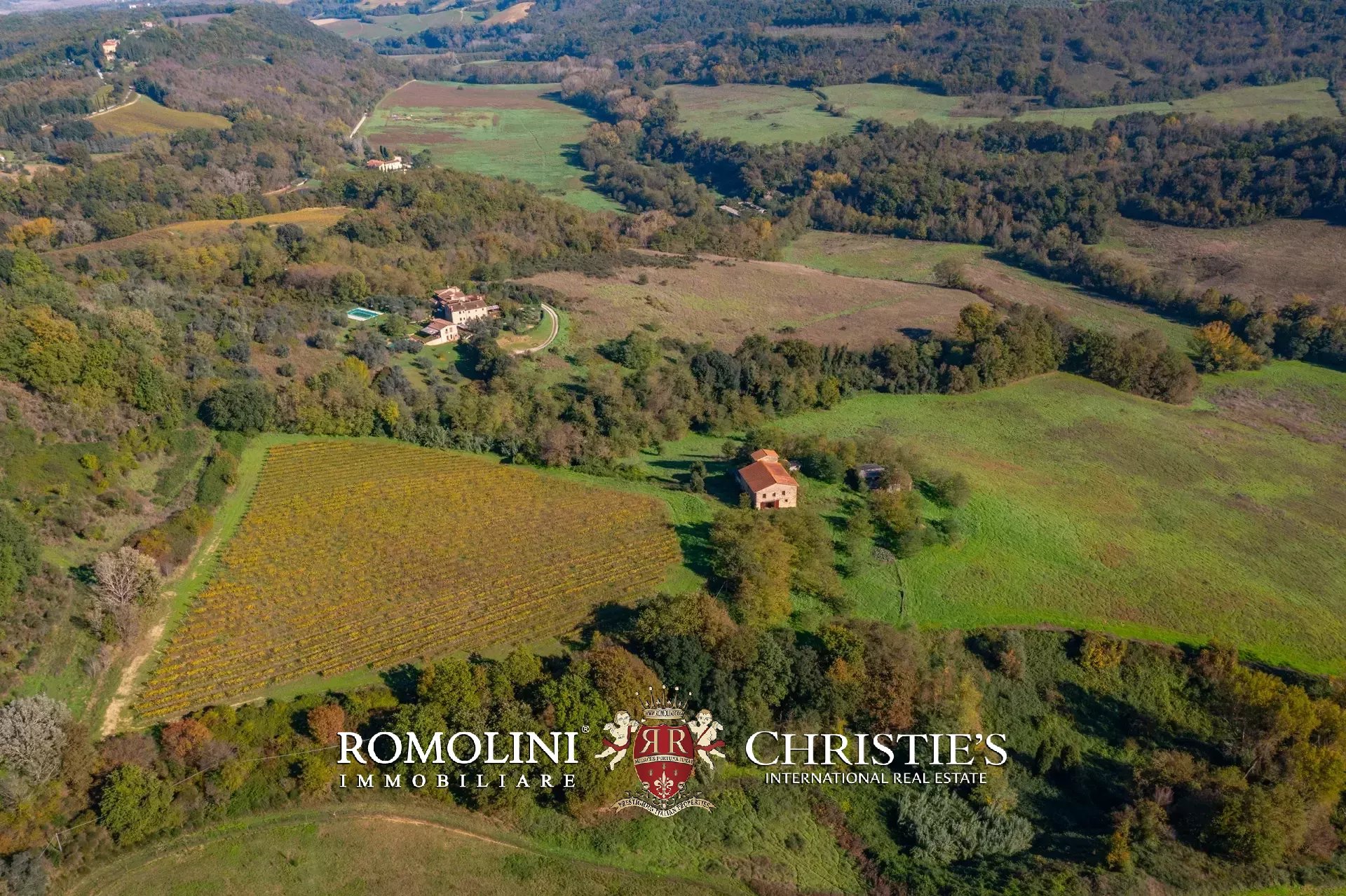 35 Bedroom Vineyard's Image 6