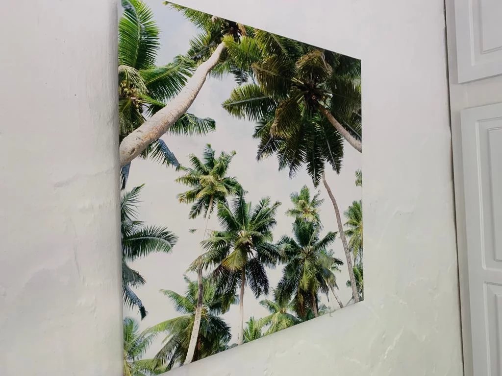 Villa Pereybère - picture 14