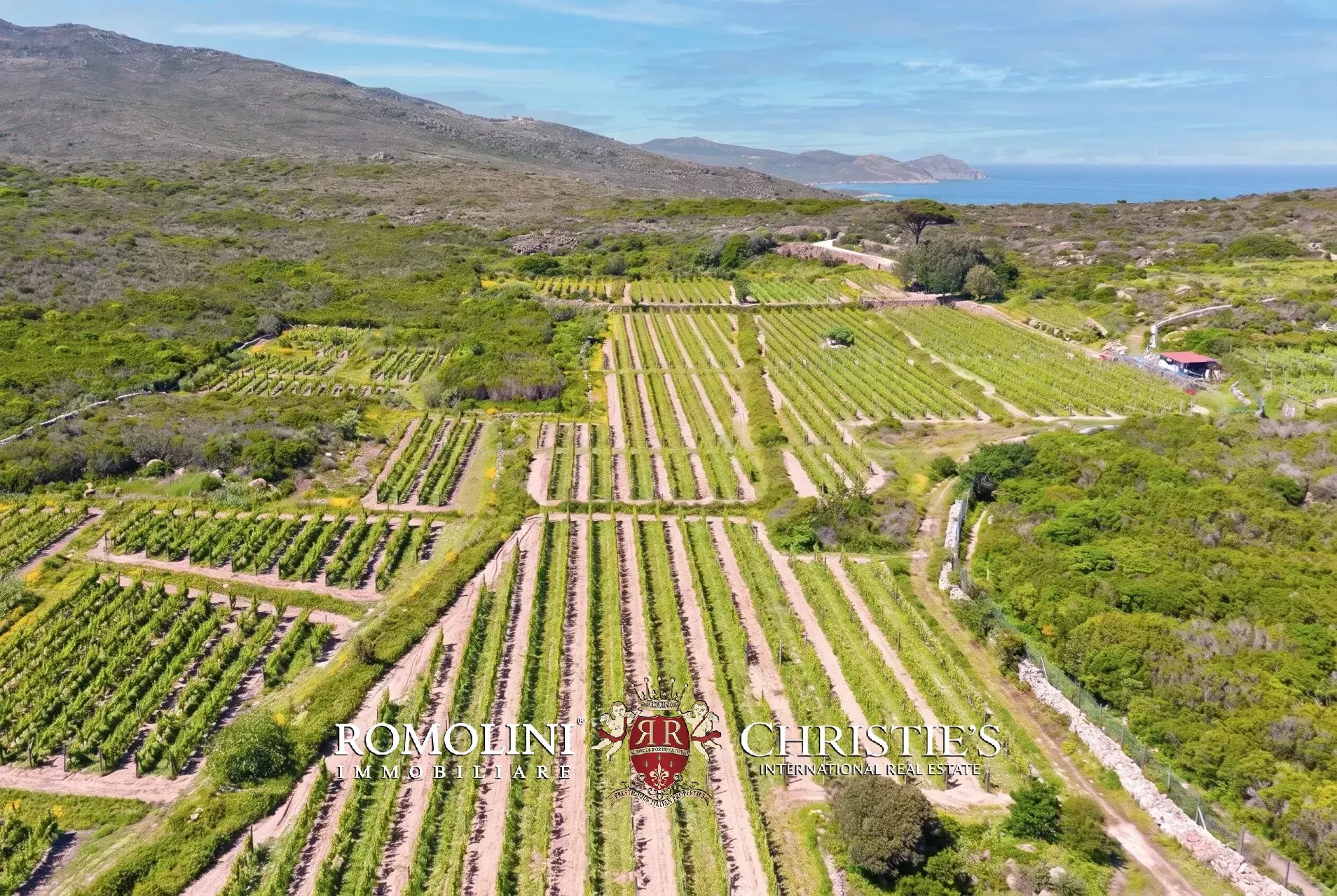 Property Slider Image