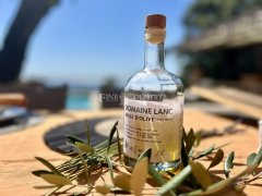 Luxury Villa Grasse: Grand Family Estate with Panoramic Sea Views — photo 7 of 7