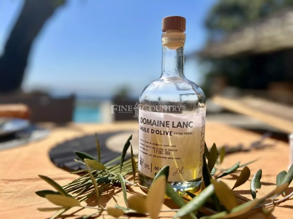 Luxury Villa Grasse: Grand Family Estate with Panoramic Sea Views — photo 7