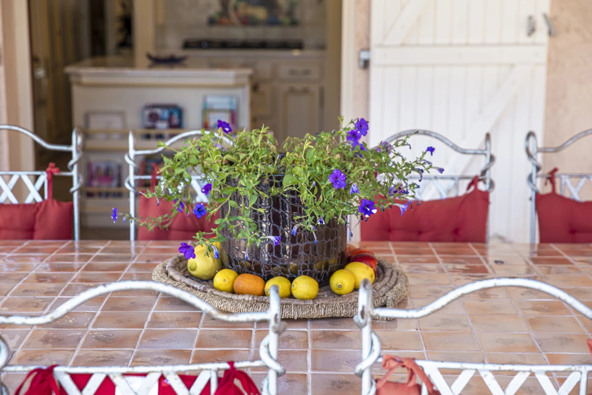 Magnificent property - Cabris