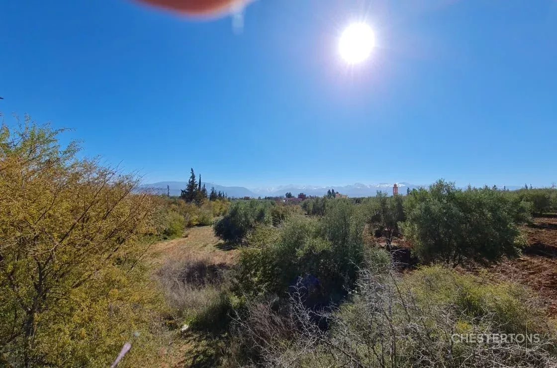 Image of Plot of land for Sale in Marrakech-Ménara-Marrakech-Morocco, Image 4