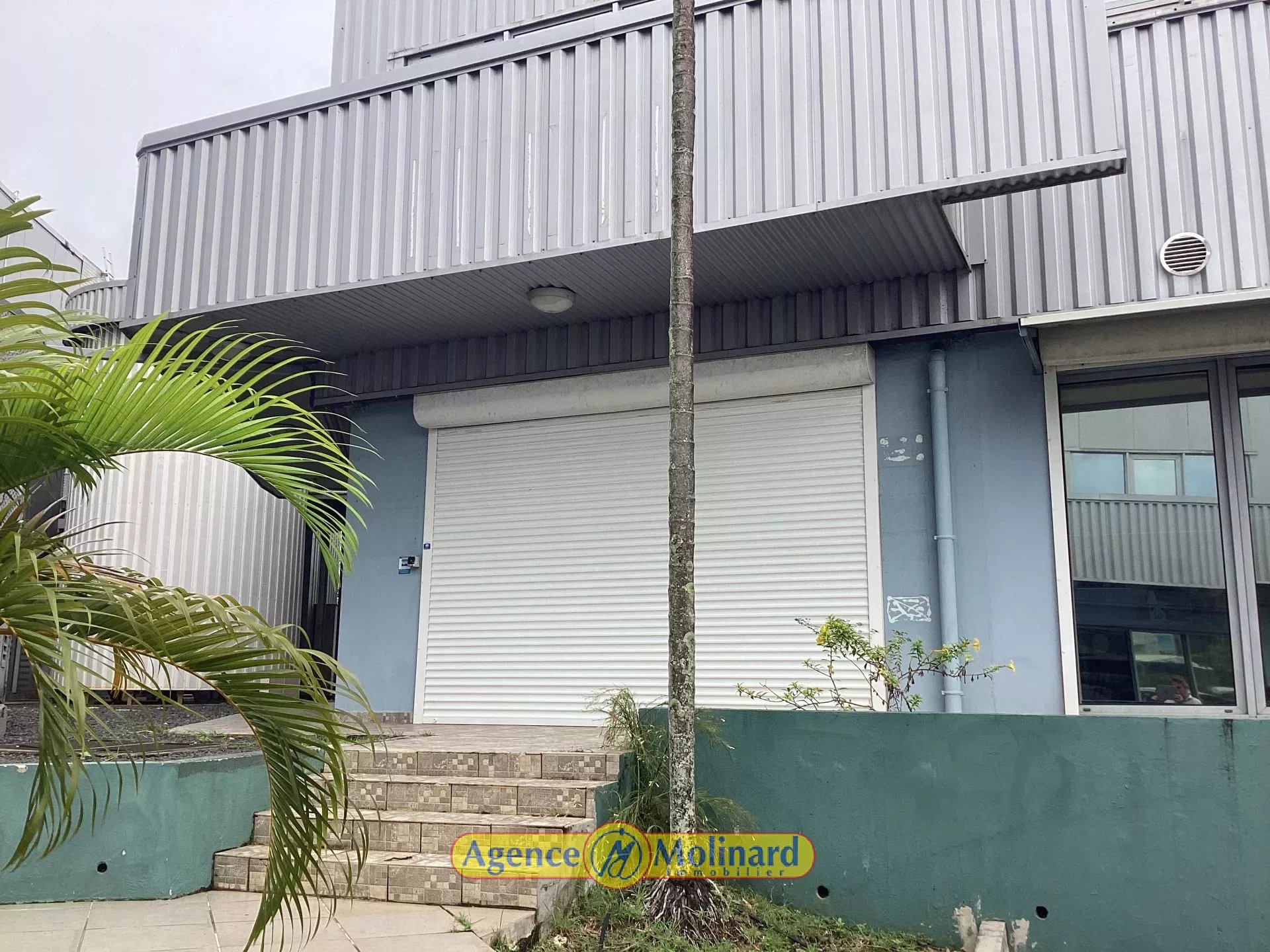 Location Local commercial Baie-Mahault