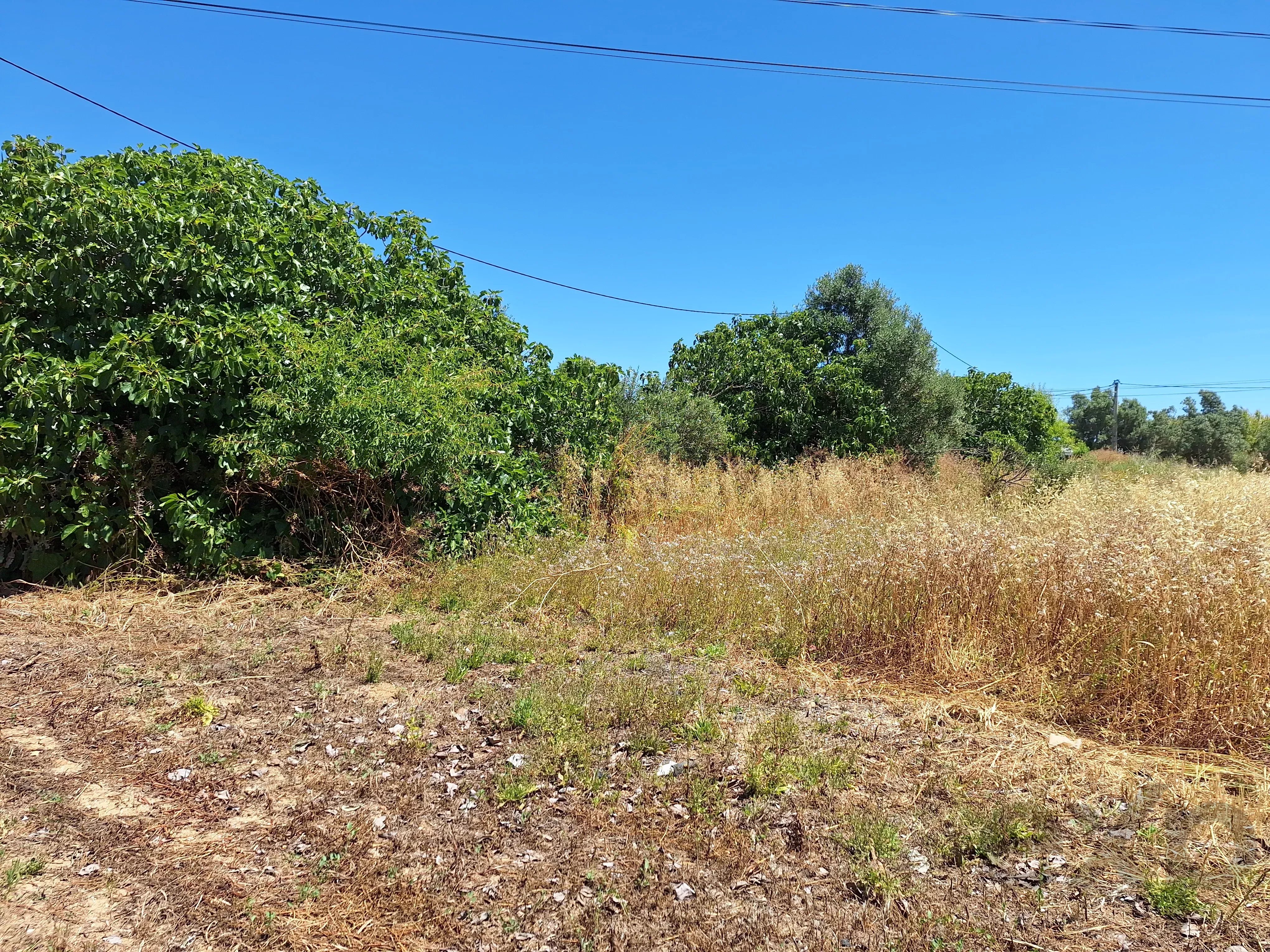 Rustic Land in Mar e Guerra 87032942 image 6