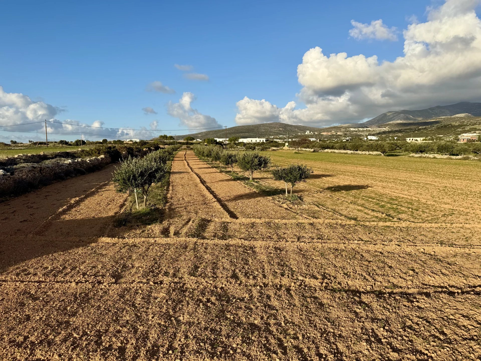 Εικόνα ιδιοκτησίας 6